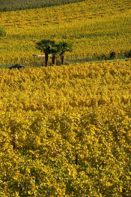 Weingut Wolkanhof Appiano Sulla Strada Del Vino Esterno foto