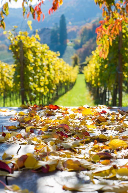 Weingut Wolkanhof Appiano Sulla Strada Del Vino Esterno foto