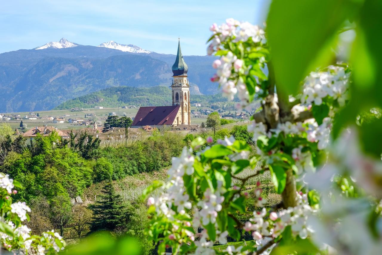 Weingut Wolkanhof Appiano Sulla Strada Del Vino Esterno foto