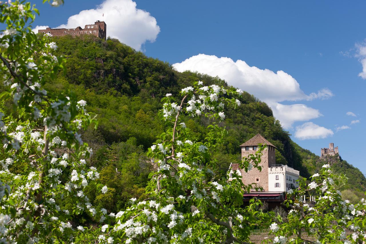 Weingut Wolkanhof Appiano Sulla Strada Del Vino Esterno foto